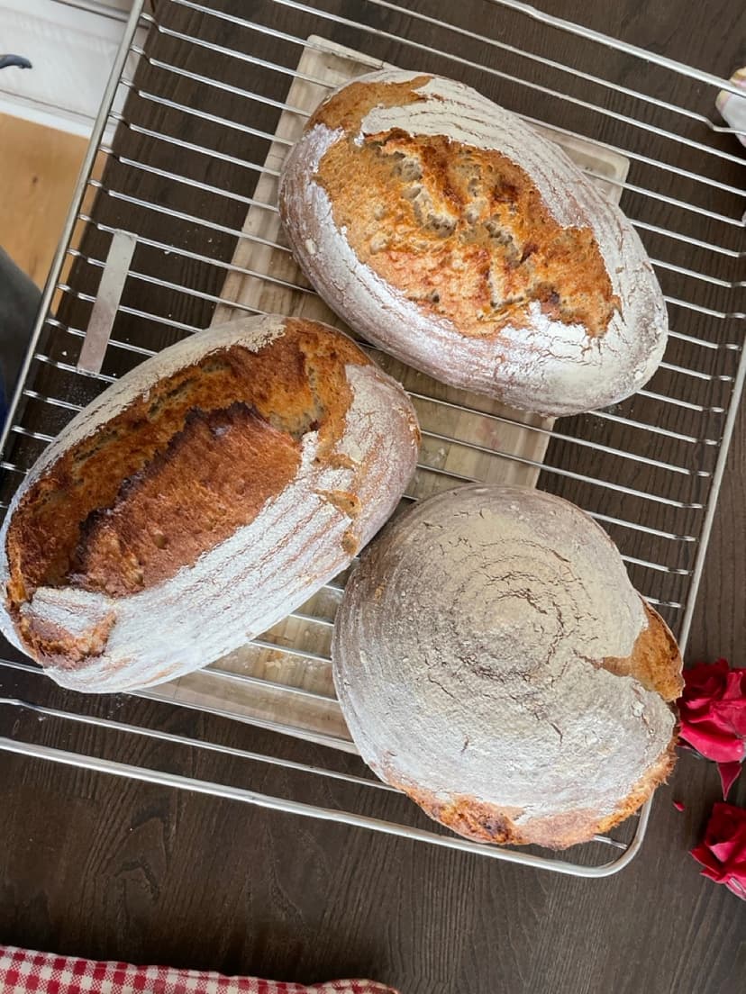 Kváskový chléb 12